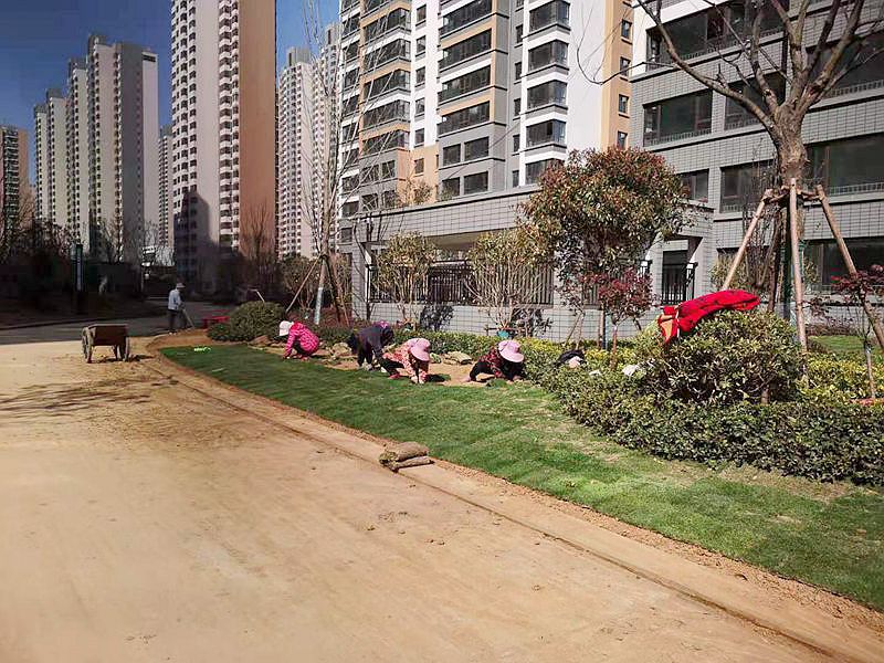 1616744841162991.jpg 5.jpg