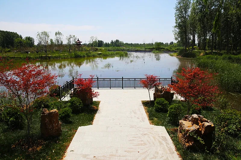 1623383336181729.jpg 640.webp (3).jpg